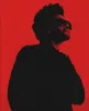 smazongoto2020 avatar