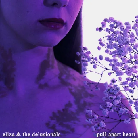 Eliza &amp; the Delusionals — Pull Apart Heart cover artwork