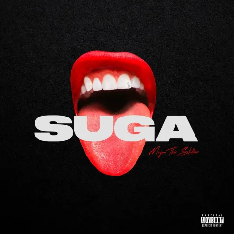 Megan Thee Stallion — Captain Hook cover artwork