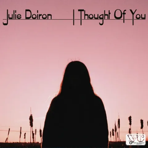 Julie Doiron — You Gave Me the Key cover artwork