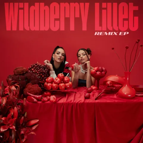Nina Chuba & Juju — Wildberry Lillet (Remix) cover artwork