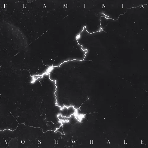 FLAMINIA featuring Yosh Whale — capo/volto cover artwork