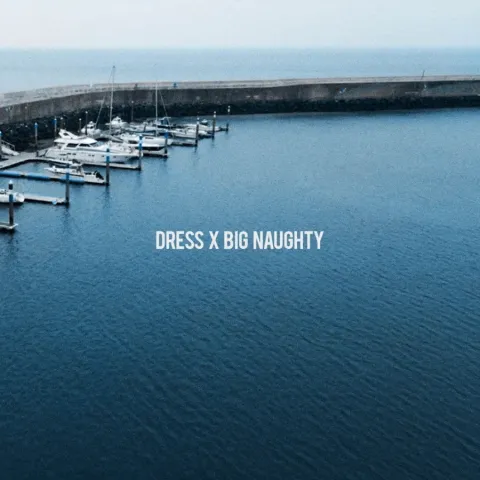 BIG Naughty & dress featuring Zior Park — Bourgeois cover artwork