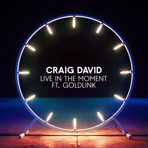 Craig David featuring GoldLink — Live In The Moment cover artwork