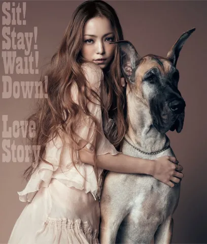 Namie Amuro Sit! Stay! Wait! Down! / Love Story cover artwork
