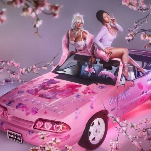 Kali Uchis ft. featuring El Alfa & JT Muñekita cover artwork