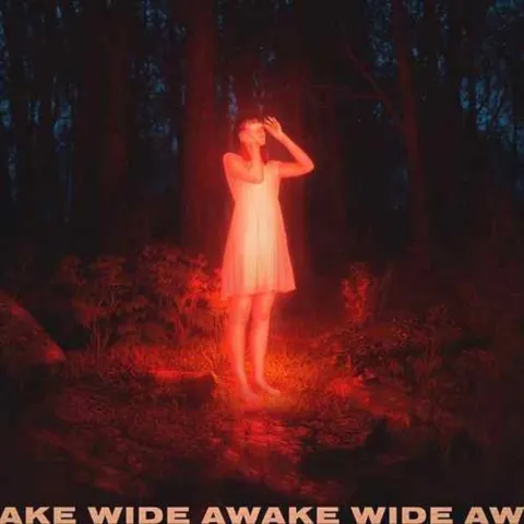 Petit Biscuit — Wide Awake cover artwork