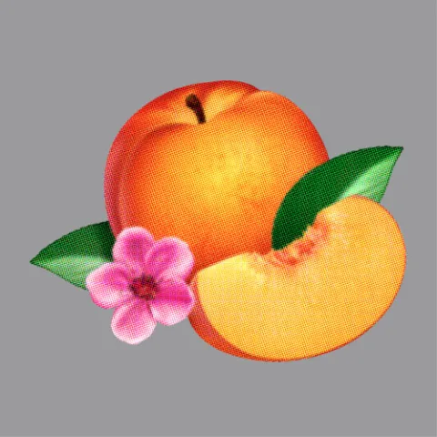 Phoenix Bankrupt! cover artwork