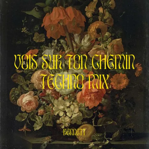 BENNETT Vois sur ton chemin (Techno Mix) cover artwork