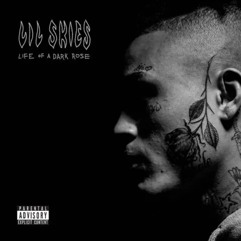 Lil Skies — Welcome To The Rodeo cover artwork