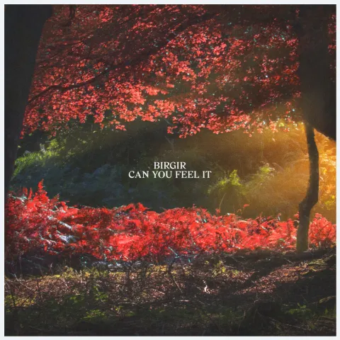 Birgir — Can You Feel It cover artwork