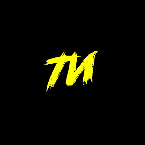 MÉLOVIN — Ty cover artwork