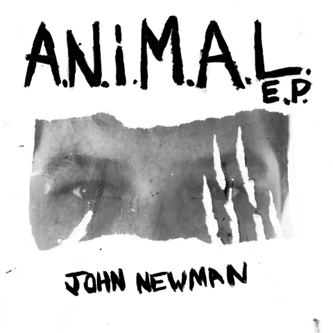 John Newman — A.N.i.M.A.L cover artwork