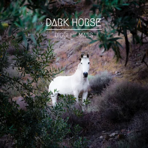 Biggi Hilmars — Dark Horse cover artwork