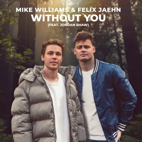 Mike Williams & Felix Jaehn featuring Jordan Shaw — Without You cover artwork