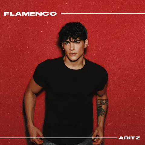 Aritz — Flamenco cover artwork