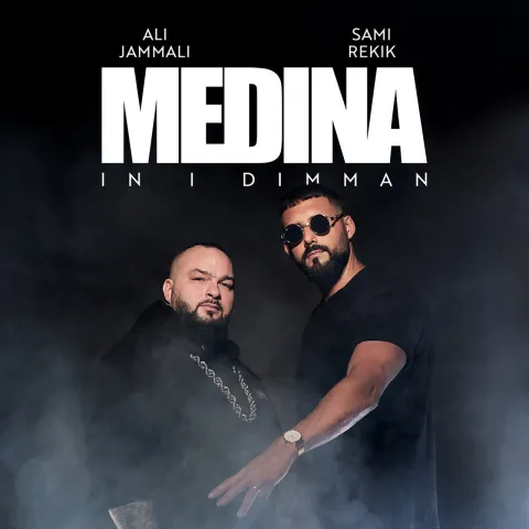 Medina — In i dimman cover artwork