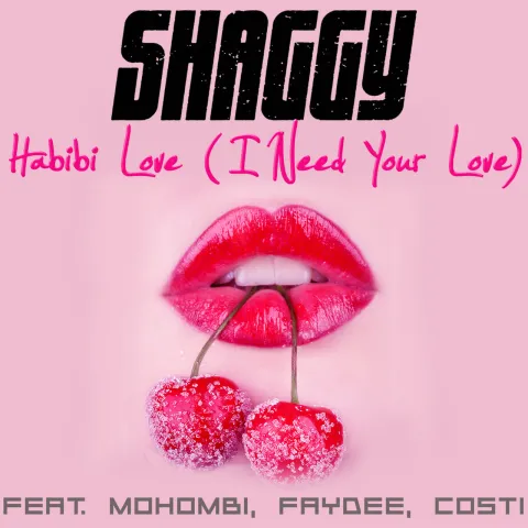 Shaggy featuring Mohombi, Faydee, & Costi — Habibi Love (I Need Your Love) cover artwork