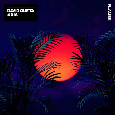 David Guetta & Sia — Flames cover artwork