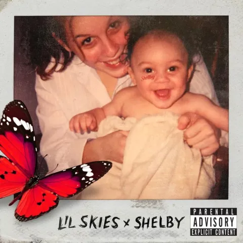 Lil Skies featuring Gunna — Stop The Madness cover artwork