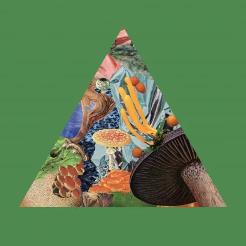 Modest Mouse — Poison The Well cover artwork