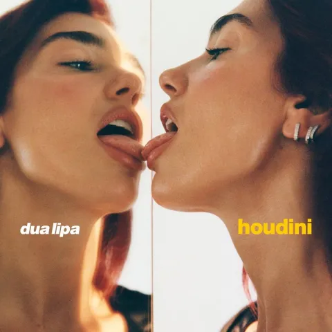 Dua Lipa Houdini cover artwork