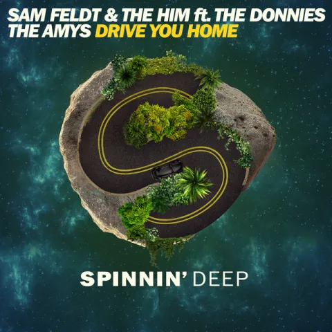 Sam Feldt & The Him featuring The Donnies The Amys — Drive You Home cover artwork