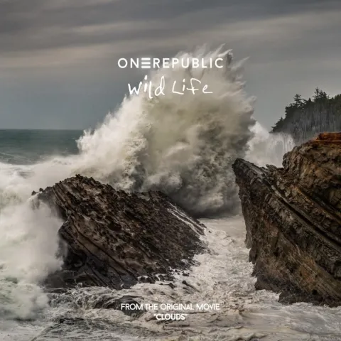 OneRepublic — Wild Life cover artwork