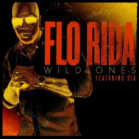Flo Rida featuring Sia — Wild Ones cover artwork