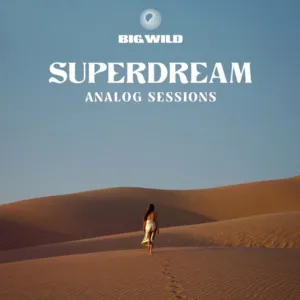 Big Wild — No Words (Analog) cover artwork
