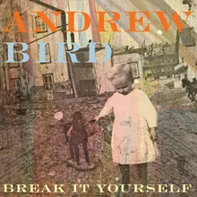 Andrew Bird Eyeoneye cover artwork