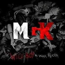 Machine Gun Kelly featuring Waka Flocka Flame — Wild Boy cover artwork