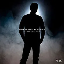 Blake Shelton — Sure Be Cool If You Did cover artwork