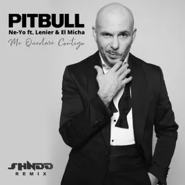 Pitbull & Ne-Yo featuring Lenier & El Micha — Me Quedaré Contigo cover artwork