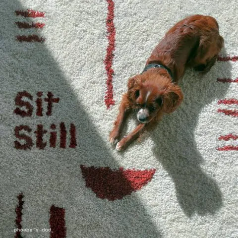 Phoebe's Dad Sit Still cover artwork