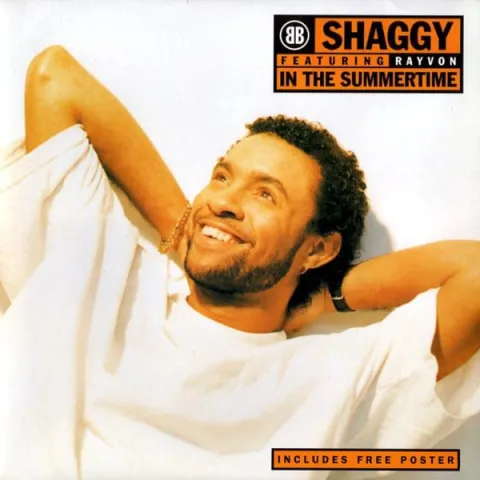 Shaggy featuring Rayvon — In The Summertime cover artwork