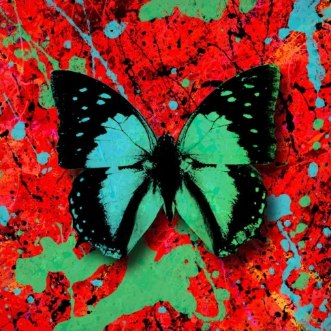 Ed Sheeran 2step cover artwork