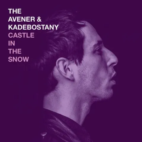 The Avener & Kadebostany — Castle In The Snow cover artwork