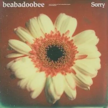 beabadoobee — Sorry cover artwork