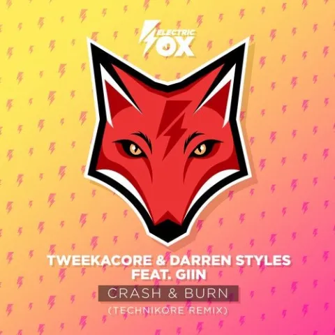 Tweekacore & Darren Styles featuring Giin — Crash &amp; Burn (Technikore Remix) cover artwork