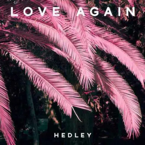 Hedley — Love Again cover artwork