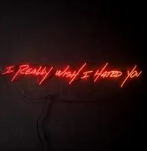 blink-182 — I Really Wish I Hated You cover artwork