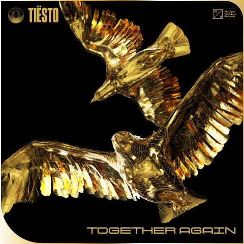 Tiësto Together Again cover artwork