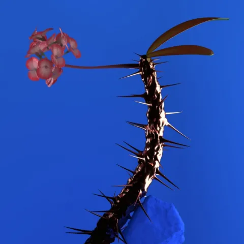 Flume featuring Kučka — Hyperreal cover artwork