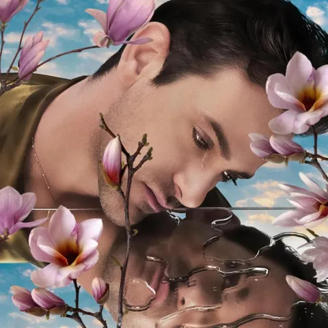 Josef Salvat — I&#039;m Sorry cover artwork