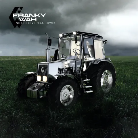 Franky Wah featuring LOWES — Not In Love cover artwork