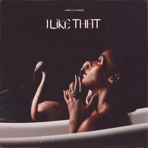 Janelle Monáe — I Like That cover artwork