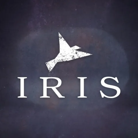 Flight Paths — Iris cover artwork