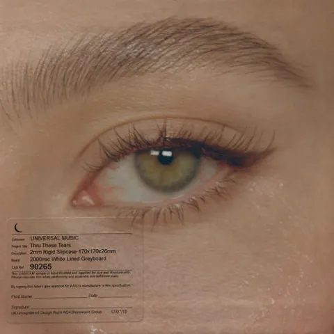 LANY Thru These Tears cover artwork