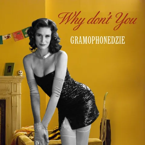 Gramaphonedzie — Why Don&#039;t You cover artwork